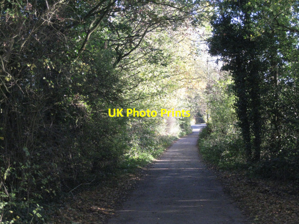Photo 6"x4" Breach Lane Claverdon c2010