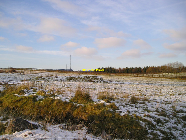 Photo 6"x4" Rough pasture Pen-y-groes\/SN5813 c2010