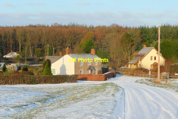 Photo 6"x4" Haugh Wood and cottages Broadmoor Common c2010