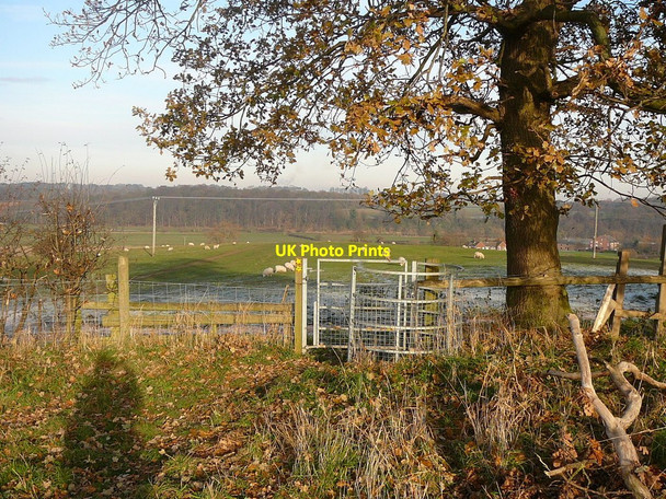 Photo 6"x4" Kissing gate on North Cheshire Way near Belleair Frodsham c2010
