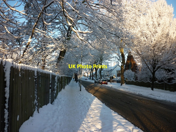 Photo 6"x4" Laburnum Avenue, Hull Kingston upon Hull c2010