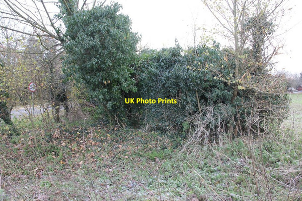 Photo 6"x4" Door by the tree Abingdon c2010