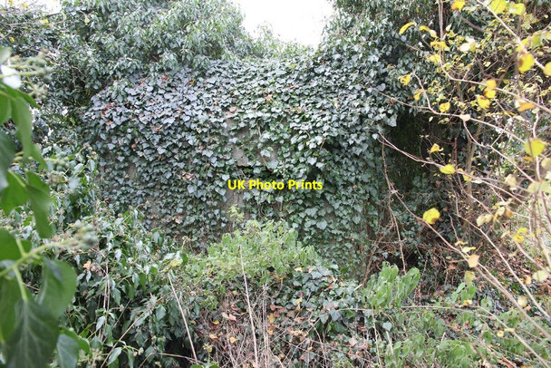 Photo 6"x4" The shape in there Abingdon c2010