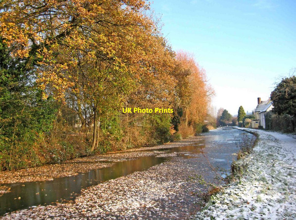 Photo 6"x4" Autumn leaves on the Staffordshire & Worcestershire Canal Stourport-on-Severn c2010