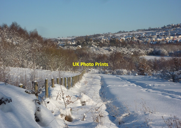Photo 6"x4" Nature reserve under snow Bolsover c2010