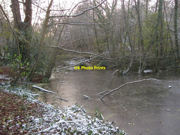 Photo 6"x4" Frozen Pond Newport\/Casnewydd c2010
