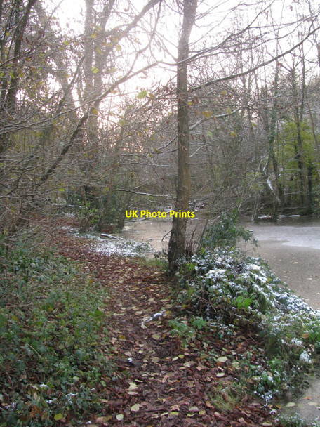 Photo 6"x4" Path by the Pond Newport\/Casnewydd c2010