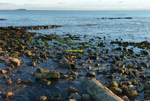 Photo 6"x4" Broken pipe Anstruther Easter c2010