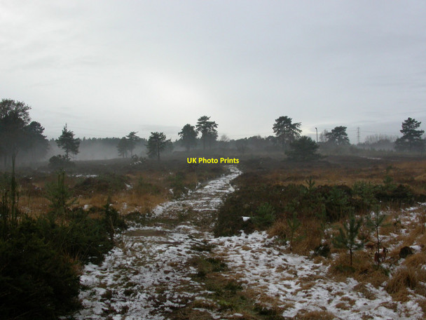 Photo 6"x4" Lions Hill, track St Leonards\/SU1103 c2010