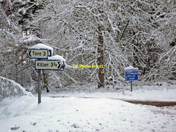 Photo 6"x4" Crossroads on the Munlochy to Knockbain road at Bellton Wood Munlochy c2010
