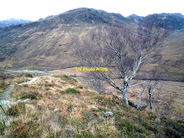 Photo 6"x4" Where the path to Loch Coire nan Crogachan steepens Shiel Bridge\/NG9318 c2010