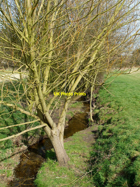 Photo 6"x4" Priory Stream Bicknacre c2009