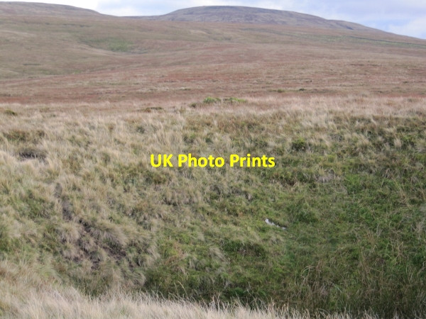 Photo 6"x4" Black Moss near Foggy Gill Fell End\/SD7298 c2010