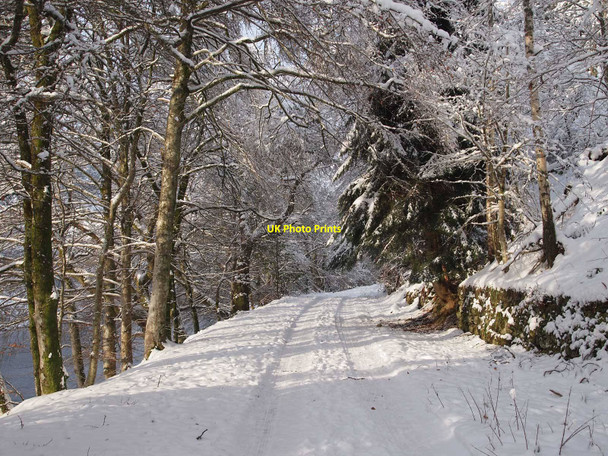 Photo 6"x4" Woodland track in the snow Inver\/NO0142 c2010