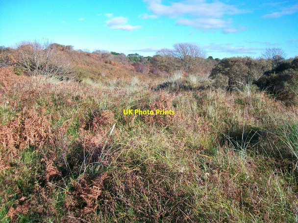 Photo 6"x4" Bracken and rough grassland at Murlough Dundrum\/J4036 c2010