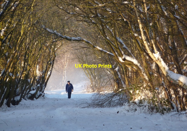 Photo 6"x4" Winter view along the Stockley trail Bolsover c2010