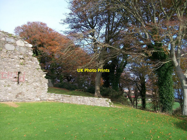 Photo 6"x4" Castle wood from Blundell House Dundrum\/J4036 c2010