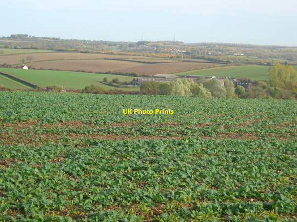Photo 6"x4" Arable land east of Bagworth Bagworth c2010