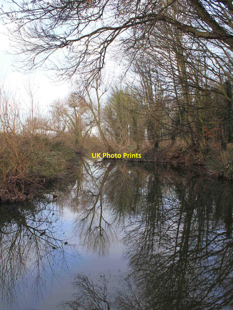 Photo 6"x4" River Cam downstream of Byron's Pool Grantchester c2010