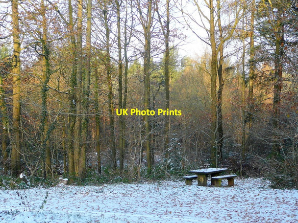 Photo 6"x4" In Haugh Wood 2 Broadmoor Common c2010