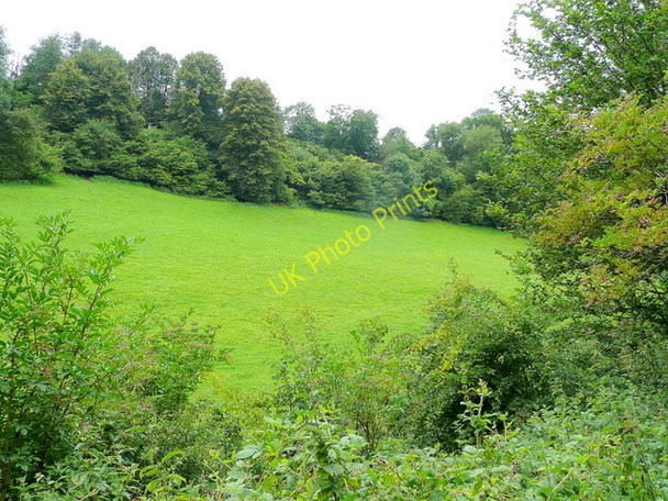 Photo 6"x4" View to Pope's Grove Kerne Bridge c2009