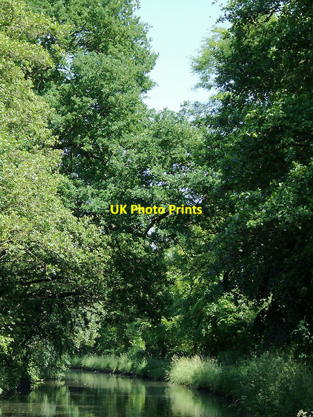 Photo 6"x4" Staffordshire and Worcestershire Canal near Calf Heath, Staffordshire Calf Heath c2010