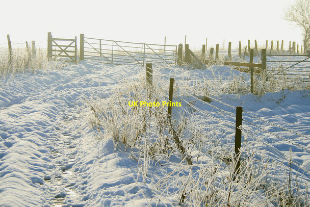 Photo 6"x4" Gate on the track south from Willey Wood Farm Eastwood\/SK4646 c2010