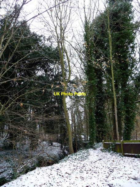 Photo 6"x4" Turkey Brook, Clay Hill, Enfield Enfield\/TQ3396 c2010