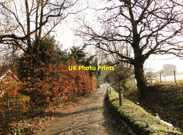 Photo 6"x4" Road to Waterloo, near Gillingham Waterloo\/TM4293 c2010