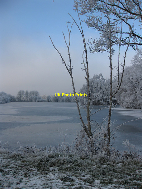 Photo 6"x4" No signs of life on Drummond's Dub Bromsash c2010
