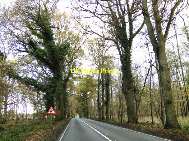 Photo 6"x4" A145 at Henham Blyford c2010