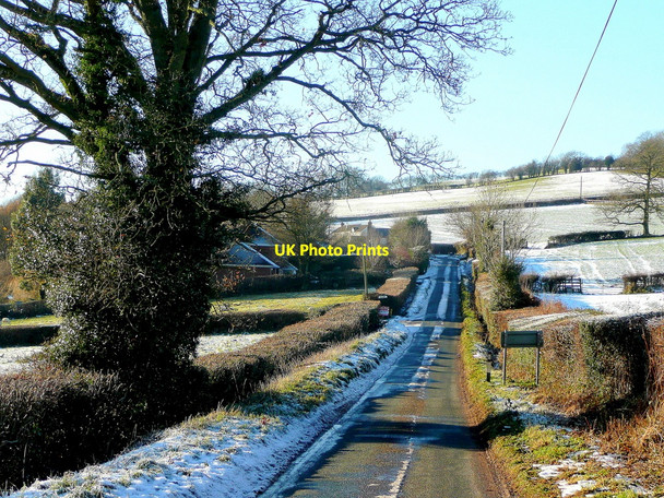 Photo 6"x4" Burnett Lane Orcop Hill c2010