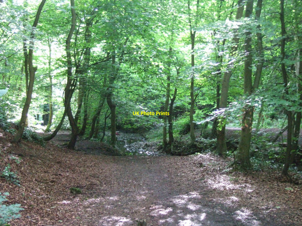 Photo 6"x4" In Badock's Wood, Bristol Eastfield\/ST5777 c2010