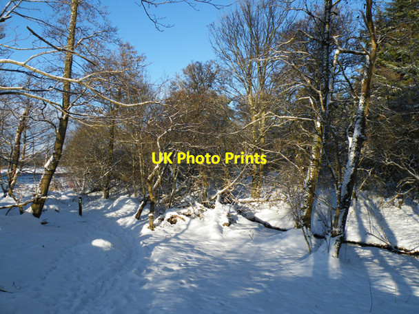 Photo 6"x4" Snow by the River Fochabers c2010
