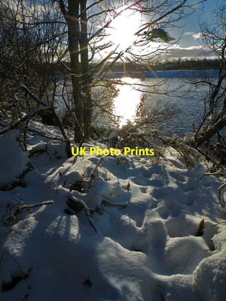 Photo 6"x4" Snow by the Spey Fochabers c2010