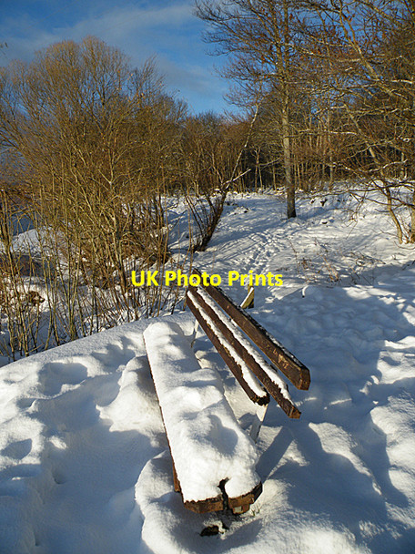 Photo 6"x4" Not Very Tempting Fochabers c2010