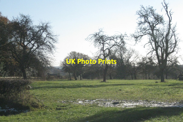 Photo 6"x4" Orchard, Oak Farm, Knowle Grove Knowle Grove c2010