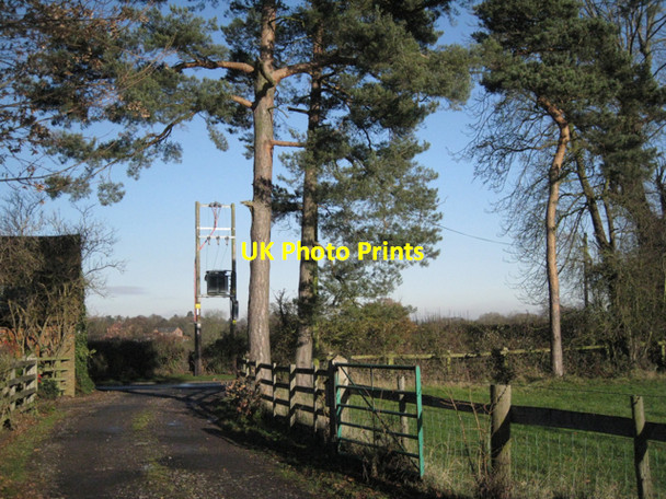 Photo 6"x4" Scots pines, Oak Farm, Knowle Grove Knowle Grove c2010