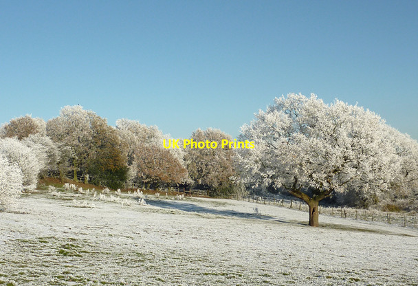 Photo 6"x4" Frosted pasture and  woodland on Colton Hills, Wolverhampton Sedgley c2010