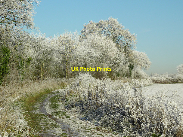 Photo 6"x4" Track and frosted trees near Colton Hills, Staffordshire Sedgley c2010