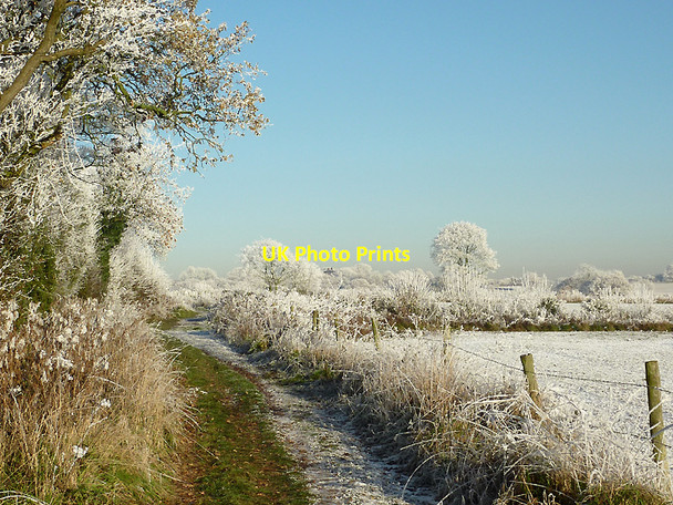 Photo 6"x4" Track and frosted field near Colton Hills, Staffordshire Sedgley c2010