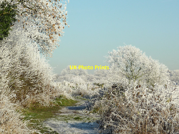 Photo 6"x4" Track and frosted trees near Colton Hills, Staffordshire Sedgley c2010