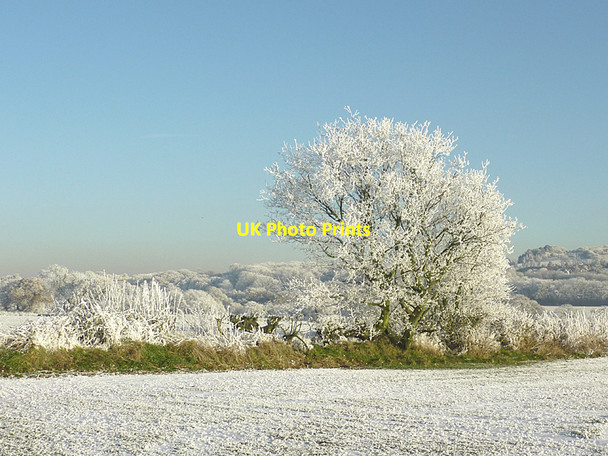 Photo 6"x4" Frosted field and trees near Colton Hills, Staffordshire Sedgley c2010