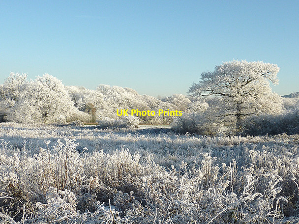 Photo 6"x4" Hoar frost near Colton Hills, Wolverhampton Sedgley c2010