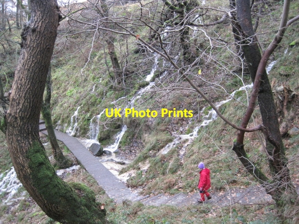 Photo 6"x4" Ingleton Waterfall Walk Ingleton\/SD6973 c2010