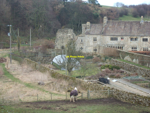 Photo 6"x4" The site of Coverham Abbey Coverham c2010