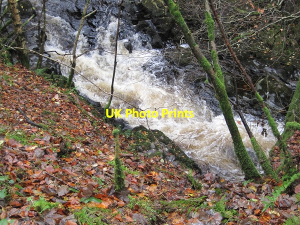 Photo 6"x4" Barbon Beck Barbon c2010