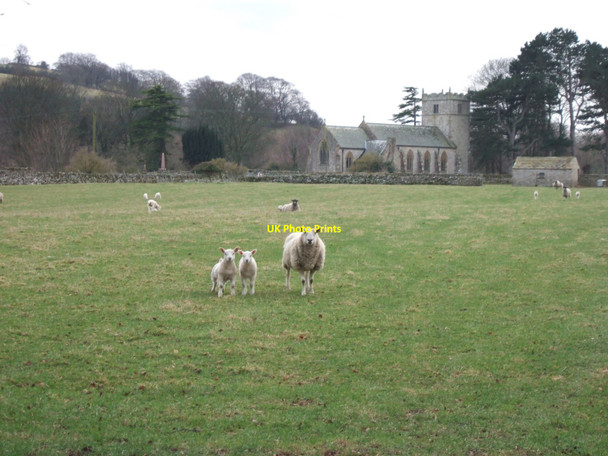 Photo 6"x4" Coverham Church from the north east -  concerned sheep in foreground Coverham c2010