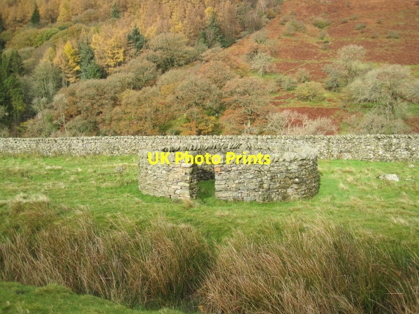 Photo 6"x4" Sheepfold, Barbondale Barbon c2010
