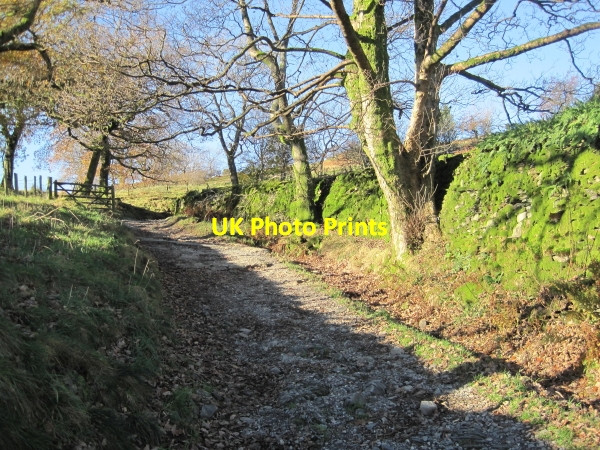 Photo 6"x4" Nanny Lane towards Wansfell High Green\/NY4103 c2010